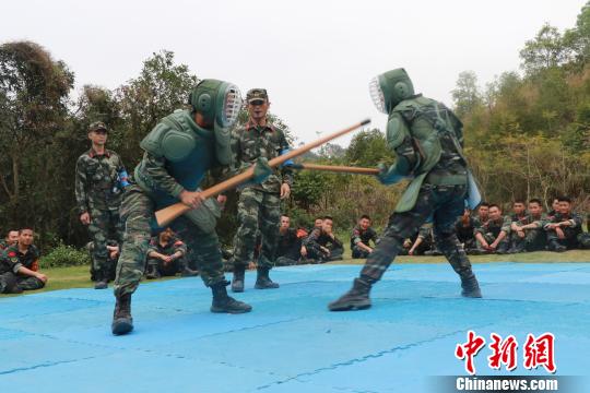 F1总决赛，南城海豚队与剑门铁骑队读秒扳平，体能对抗拉满！细节处理更胜一筹的简单介绍